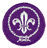 World Scouting Organization